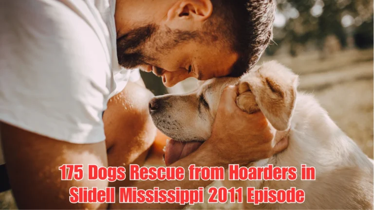 175 Dogs Rescue from Hoarders in Slidell Mississippi 2011 Episode