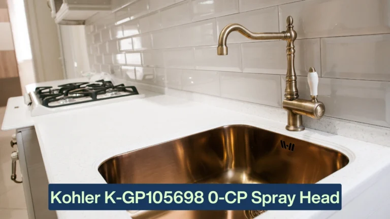 Kohler K-GP105698 0-CP spray head