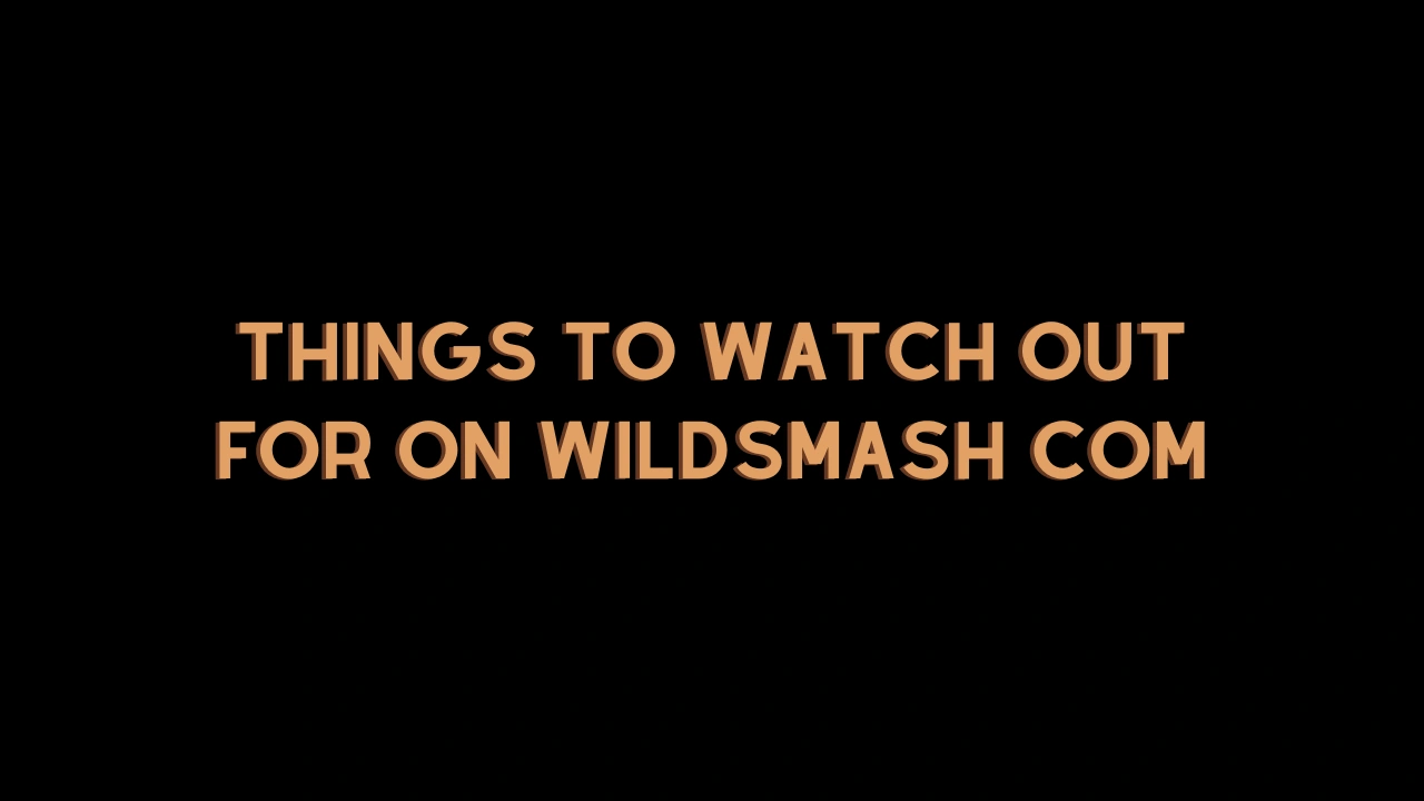 Things to Watch Out for on WildSmash com