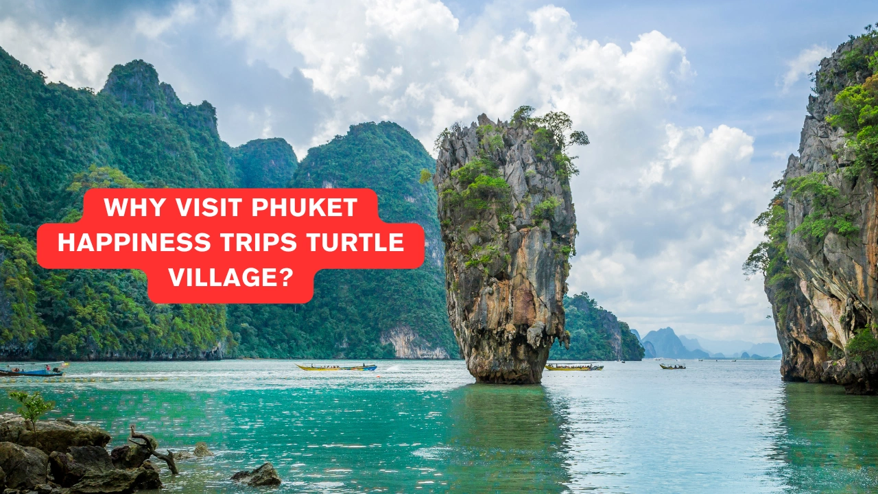 Why Visit Phuket Happiness Trips Turtle Village?