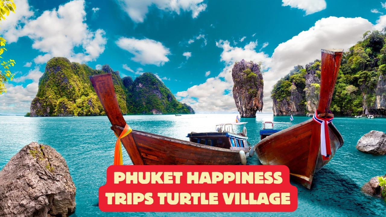 phuket happiness trips turtle village